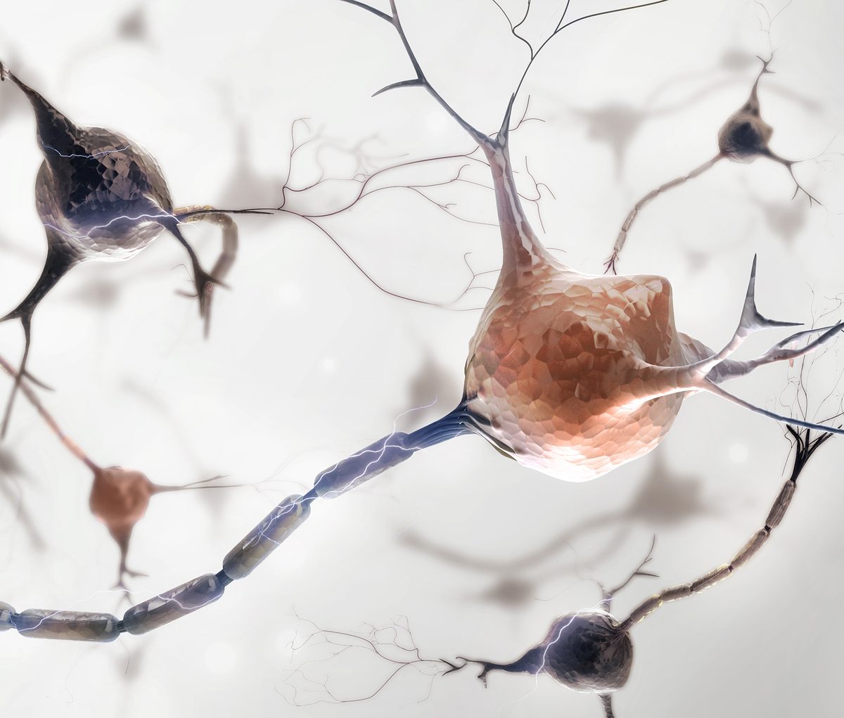 Illustration of neurons